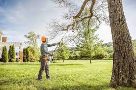 Best Commercial Tree Services  in Greenvle, IL